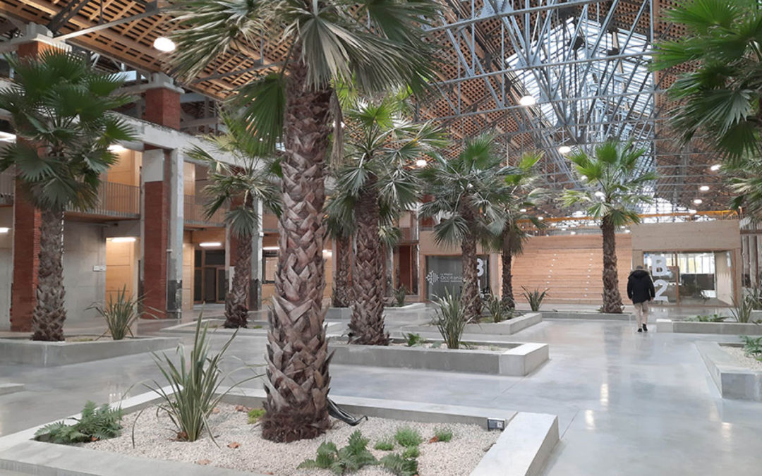 Batconnect ancré dans l’écosystème de la tech toulousaine