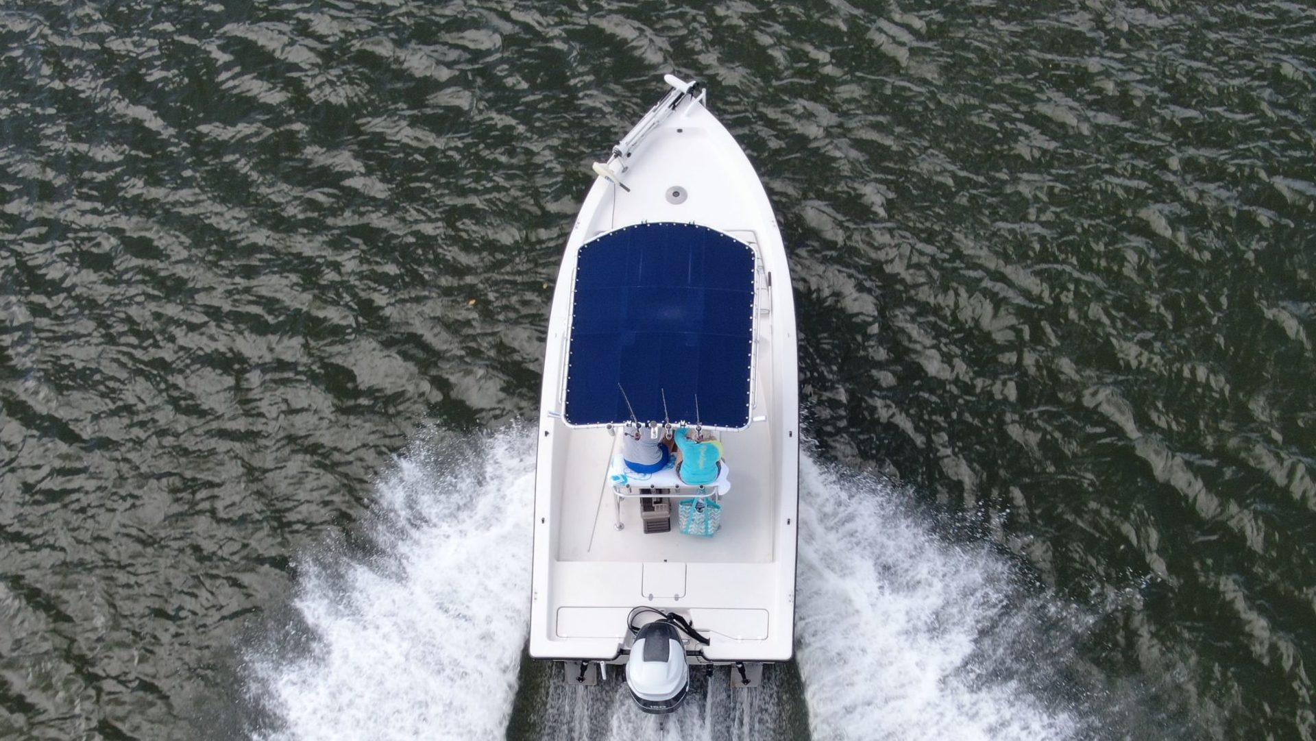Voiturette de golf électrique